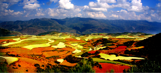 东川红土地第 16 张图片