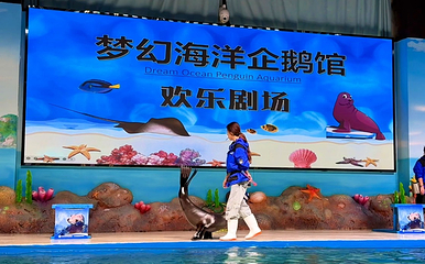 梦幻海洋企鹅馆第 30 张图片