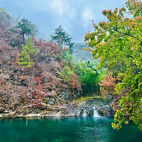 阳明山国家森林公园