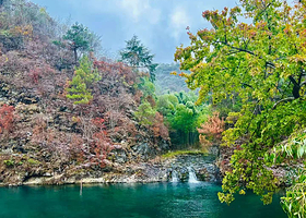 阳明山国家森林公园