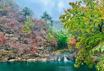 阳明山国家森林公园第 7 张图片