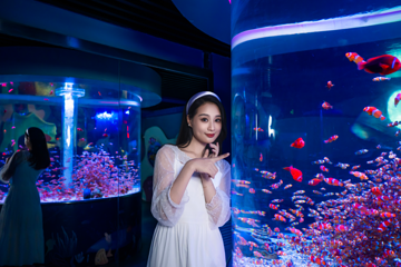 海合安成都极地海洋公园第 114 张图片