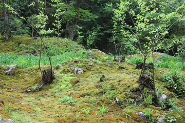 苍龙峡风景区第 17 张图片