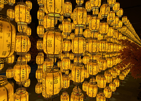 再现大师-世界名画感映艺术大展（深圳)