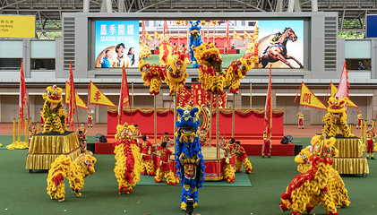 沙田马场第 2 张图片