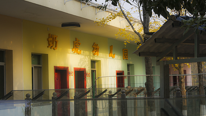三珍虎园第 20 张图片