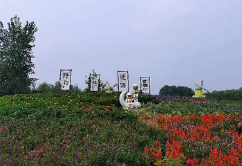北京国际鲜花港第 43 张图片