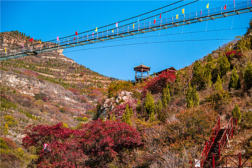 青铜山大峡谷第 142 张图片