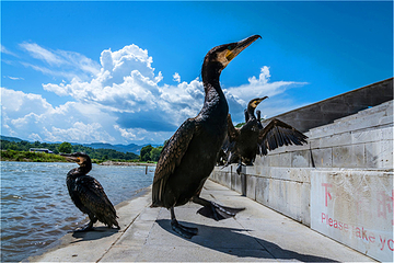 龙川江旅游度假区第 28 张图片