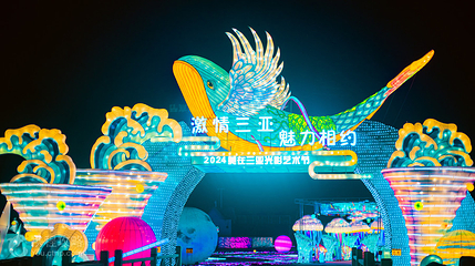 海昌不夜城光影艺术灯光乐园第 4 张图片