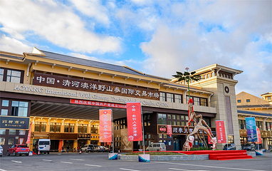 中国清河澳洋野山参国际交易市场第 2 张图片