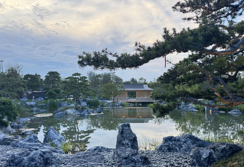 上海温室花园第 18 张图片