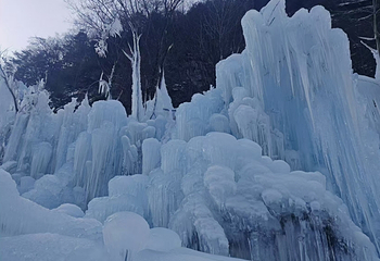 青峰峡森林公园第 9 张图片