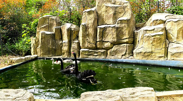 新港动物观赏园