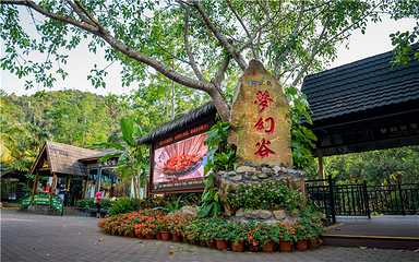 呀诺达热带雨林第 37 张图片