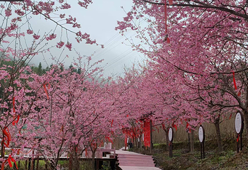 钱来山景区第 70 张图片