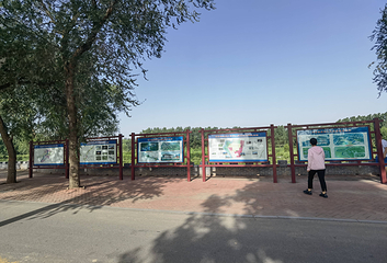 吴桥大运河文化带旅游区第 17 张图片