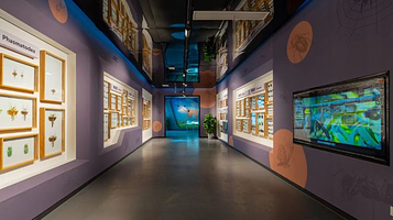 植物园活体昆虫乐园