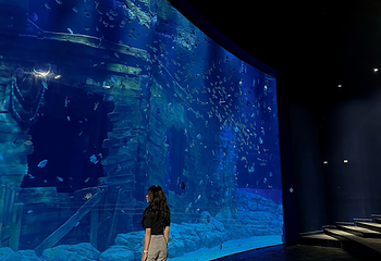 河内乐天世界水族馆第 16 张图片