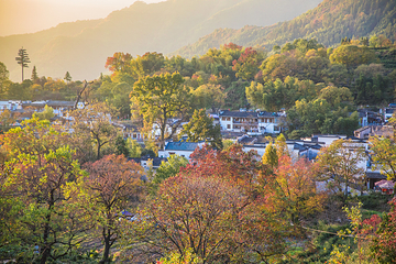塔川第 81 张图片