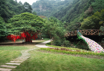 龙坞仙境第 45 张图片