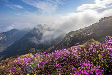 大黑山景区第 12 张图片