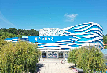 威海神游海洋世界第 12 张图片