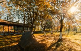 苏州中国花卉植物园