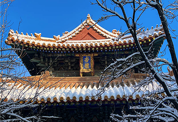 曲阜三孔景区第 90 张图片