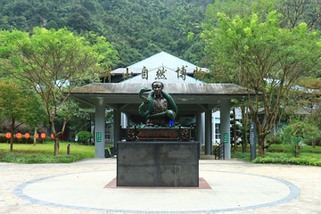 莽山旅游区国家森林公园第 47 张图片
