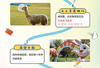 南阳野生动物世界第 5 张图片