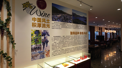 通化葡萄酒地下大酒窖第 14 张图片