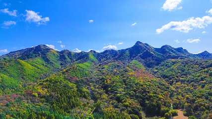 鸡冠山国家森林公园第 15 张图片