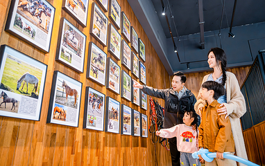 中国马镇旅游度假区第 92 张图片