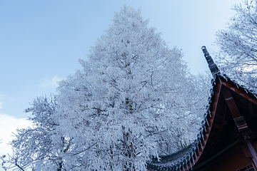 葛仙村度假区第 130 张图片