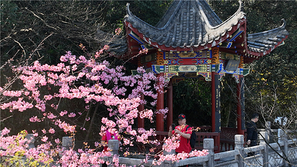 王仙岭旅游风景区第 13 张图片