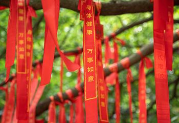 龙坞仙境第 48 张图片