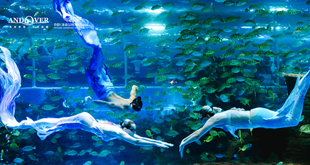 阜阳尧泰汉海海洋公园第 7 张图片