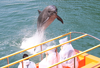 下田海中水族馆第 1 张图片