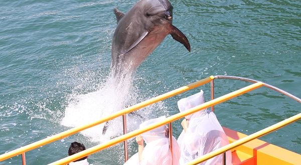 下田海中水族馆