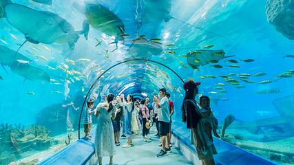 福州罗源湾海洋世界旅游区第 20 张图片