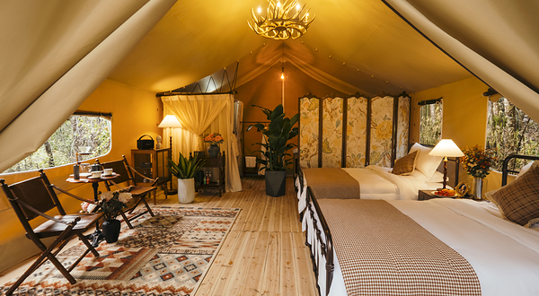 橙芷·述野三百山野奢帐篷营地