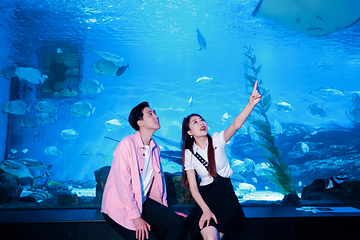海合安天津极地海洋公园第 79 张图片