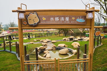 和乐·精灵之丘水豚主题乐园第 4 张图片