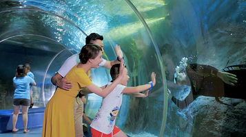 成都海洋大世界