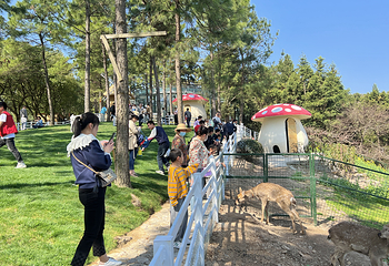 长兴城山沟景区第 33 张图片
