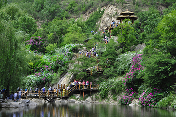 九如山休闲旅游度假区第 141 张图片