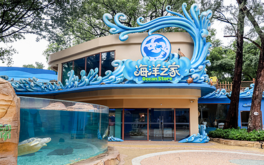 广州海洋馆第 18 张图片