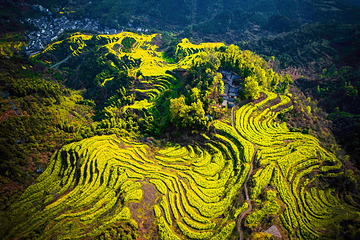 婺源篁岭景区第 140 张图片