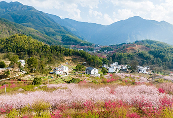 明月山花海原居第 10 张图片